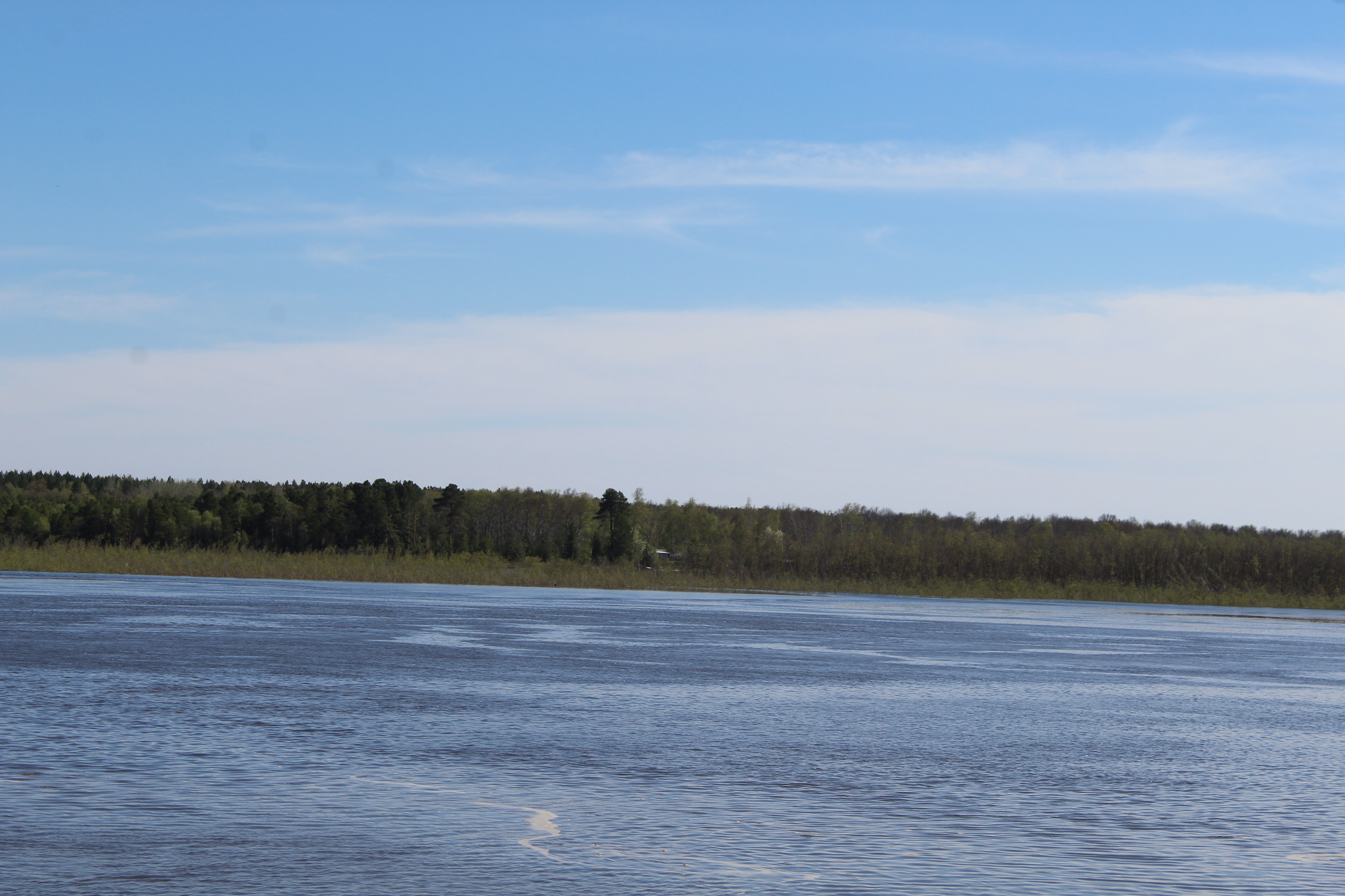 IMG_8347.jpg