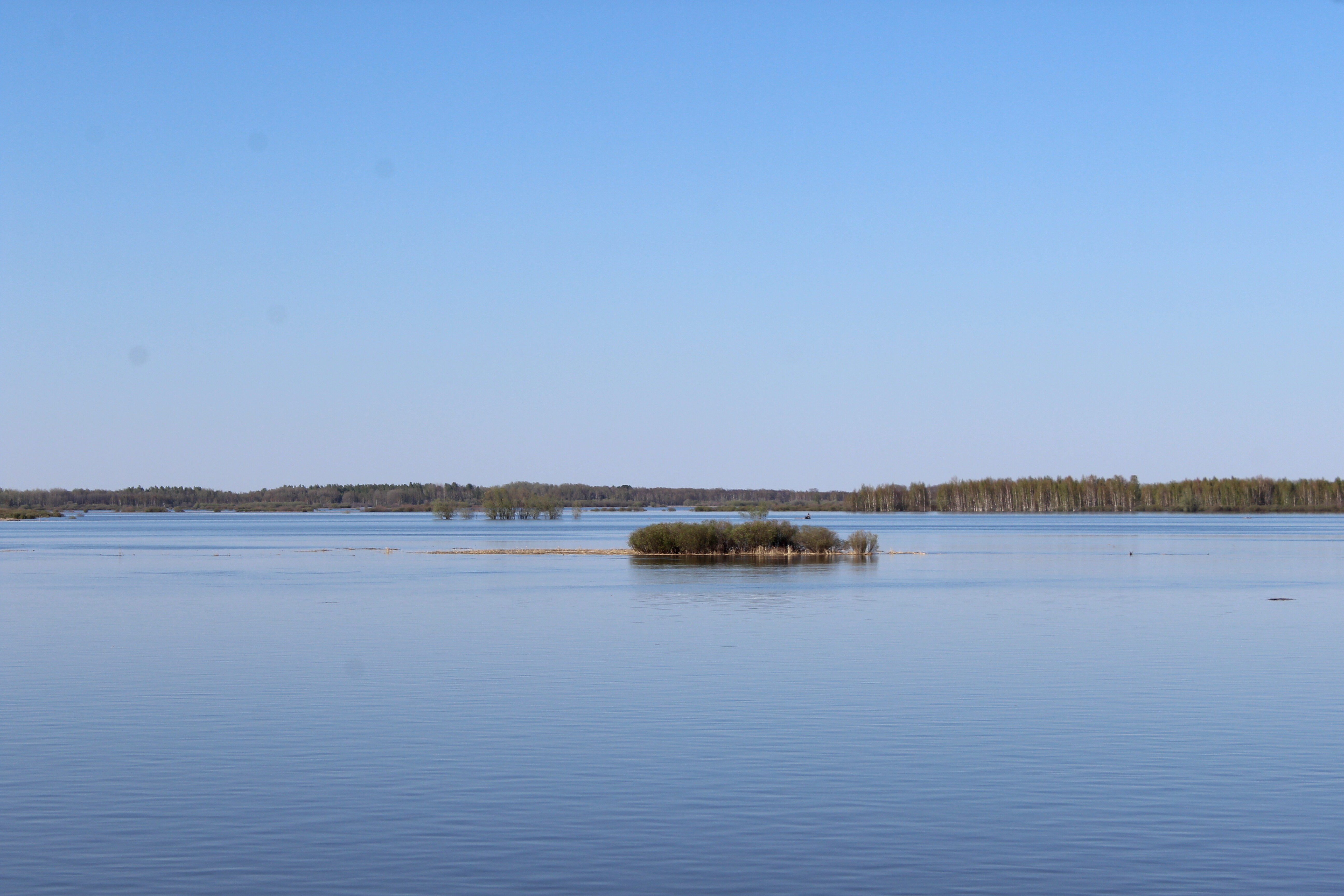 IMG_8359.jpg