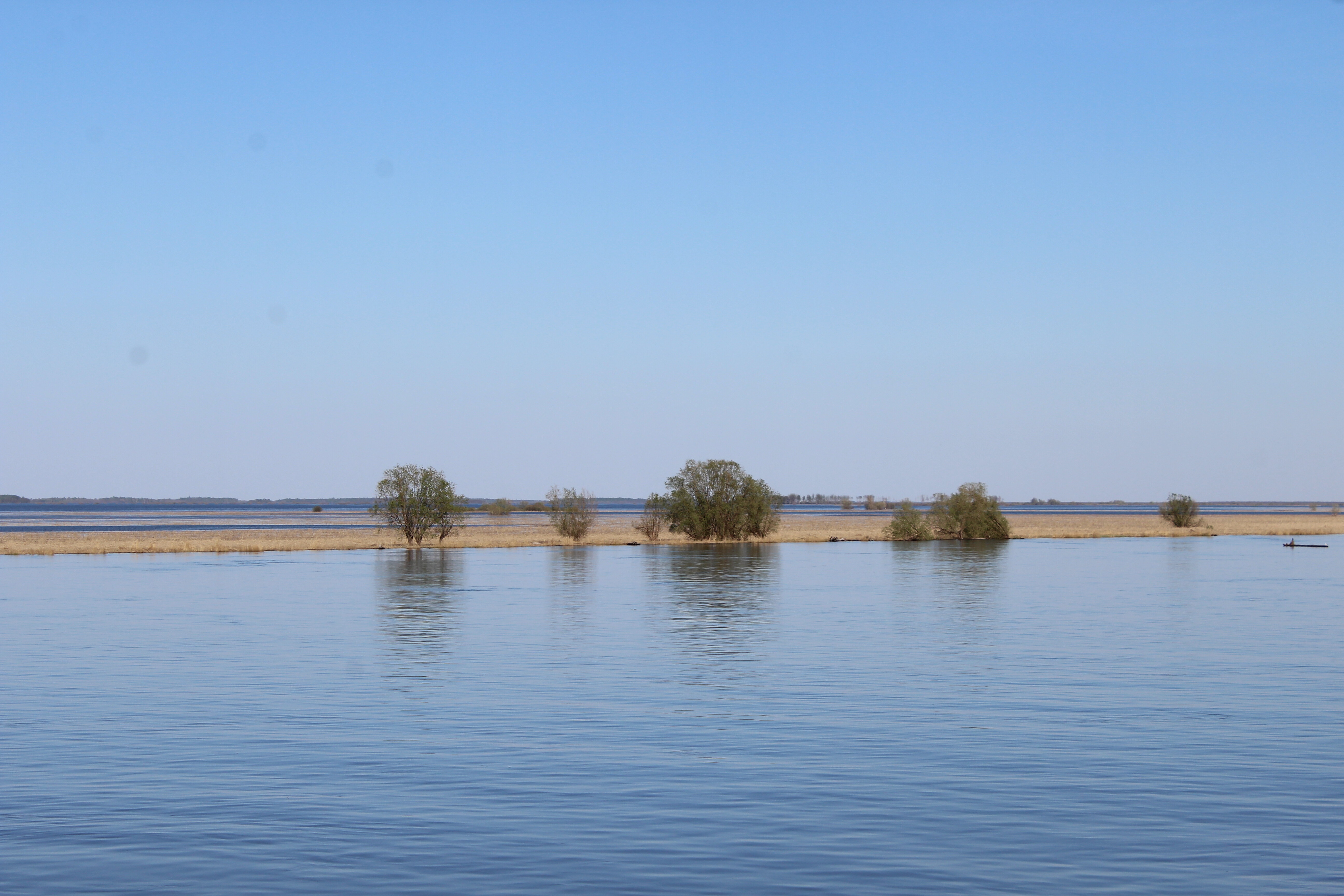 IMG_8375.jpg