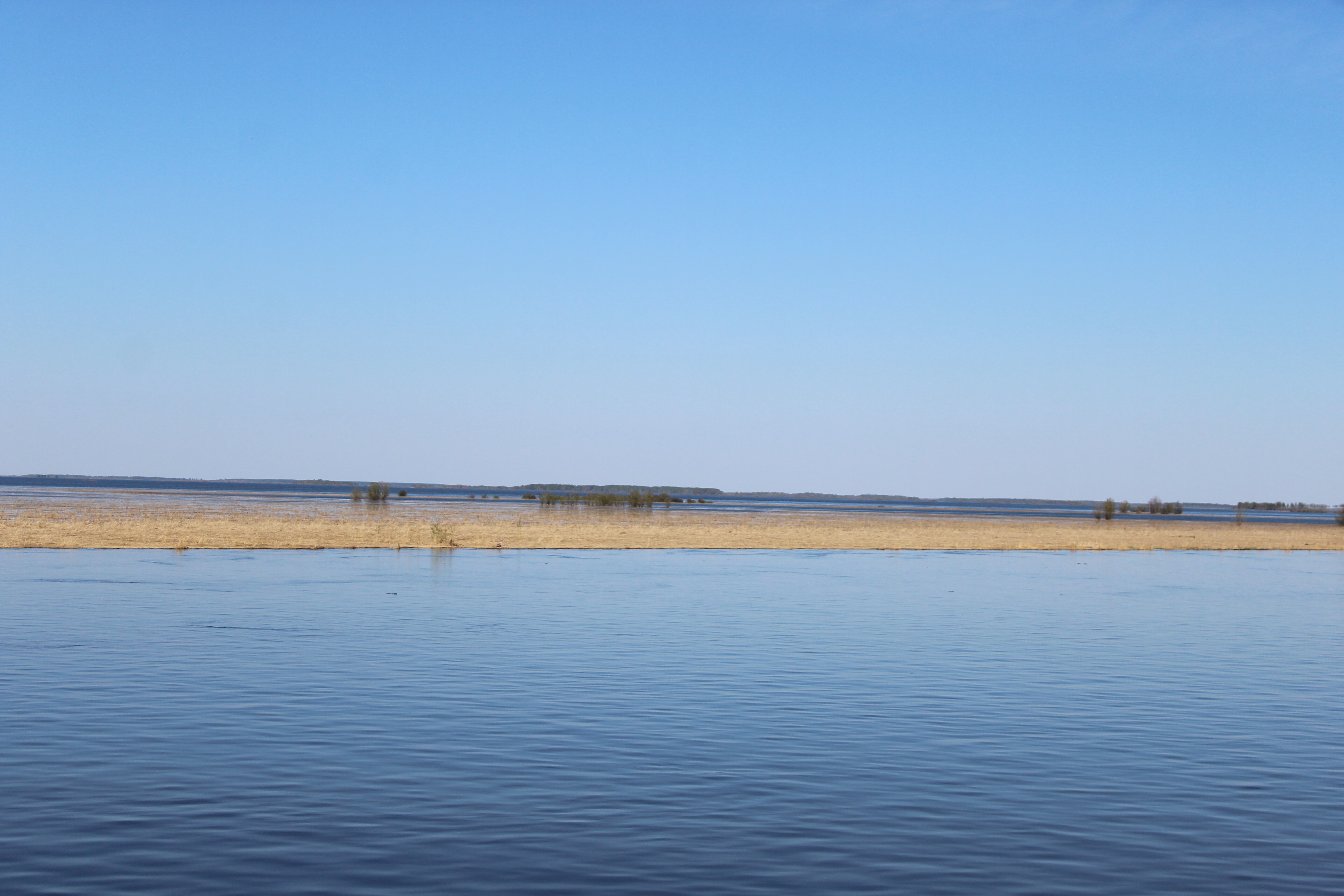 IMG_8379.jpg