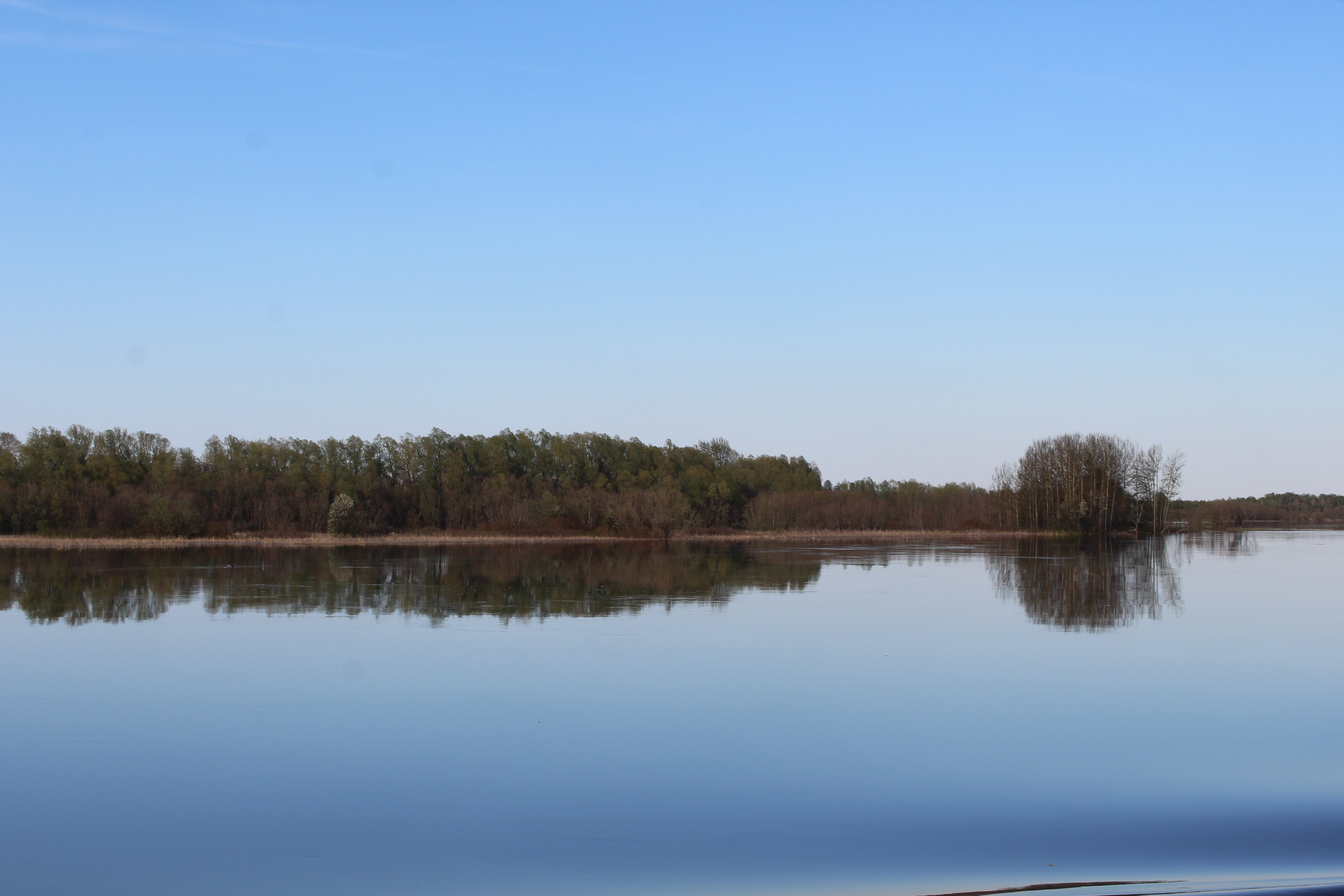 IMG_8390.jpg