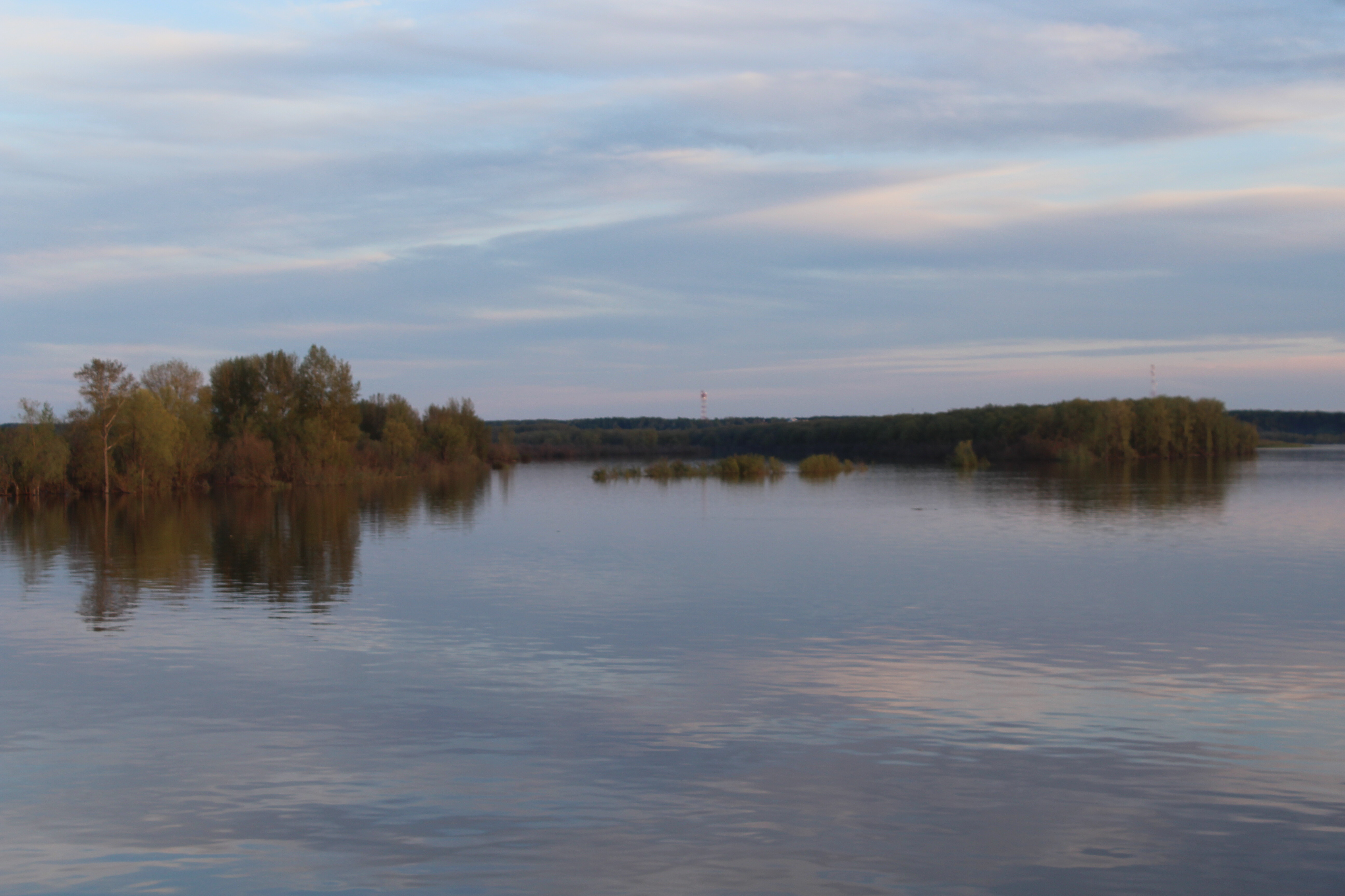 IMG_8416.jpg