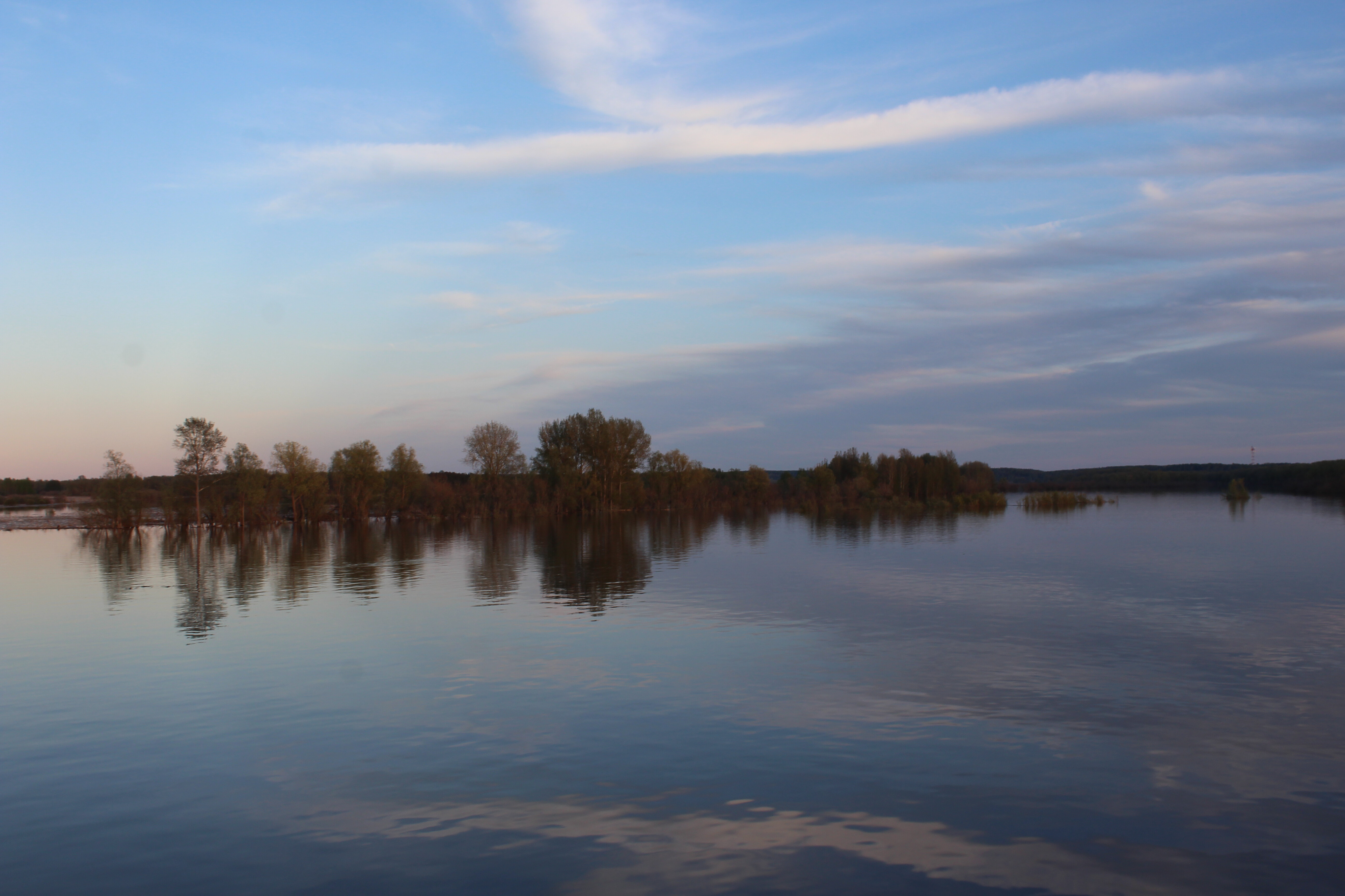 IMG_8417.jpg