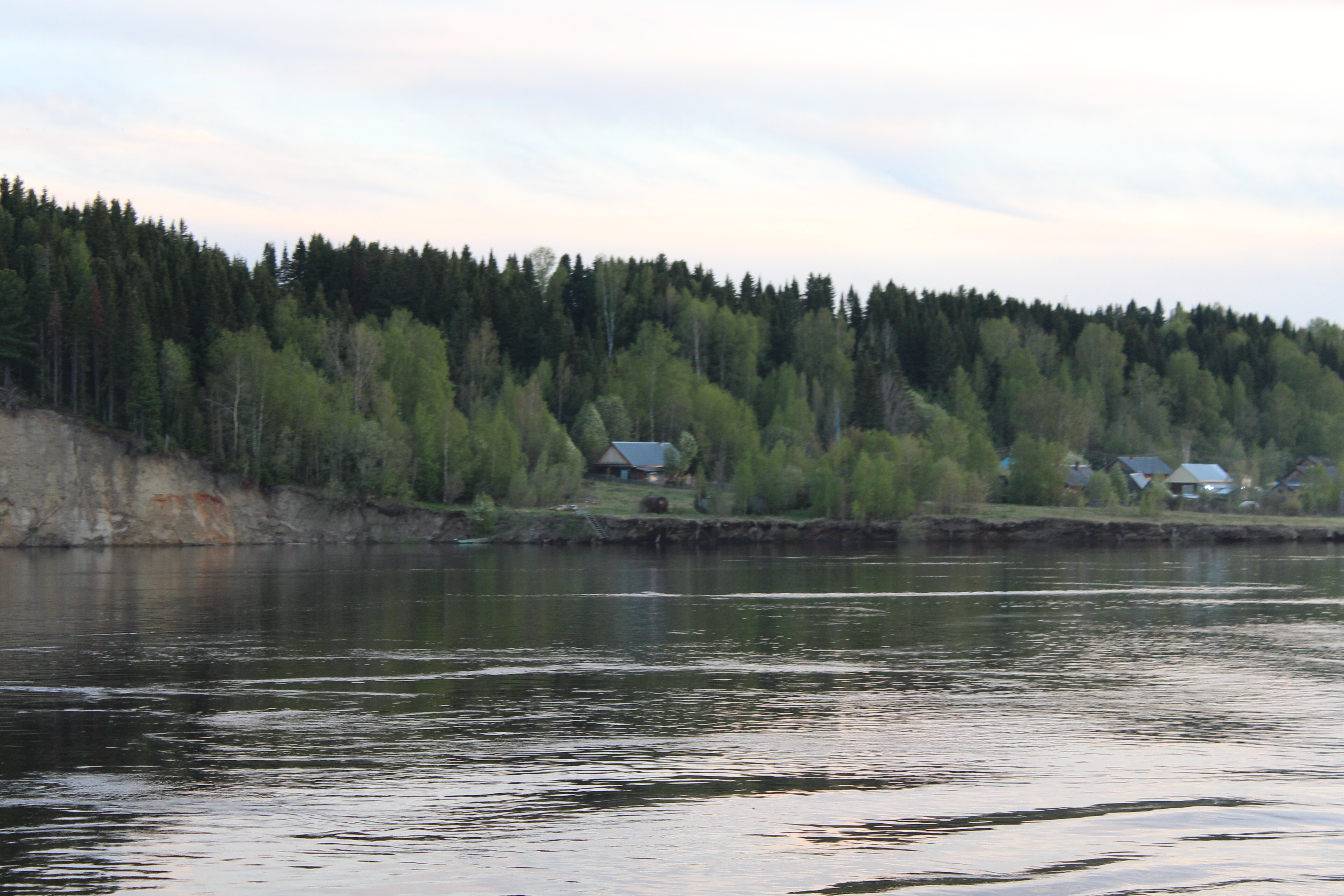 IMG_8432.jpg