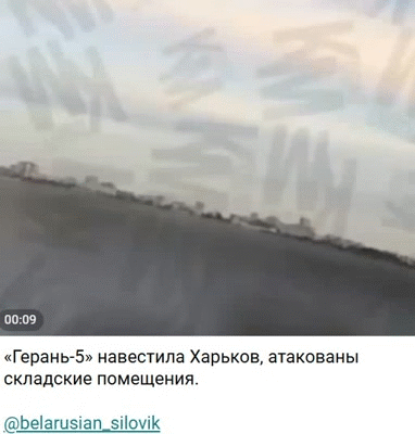 https://e.radikal.host/2026/06/29/445.gif