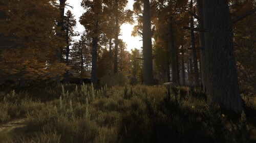 MEDIUM 19