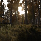 MEDIUM-19.th.jpg