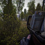 MEDIUM-3.th.jpg