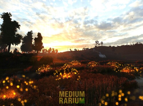 MEDIUM 4