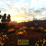 MEDIUM-4.th.jpg