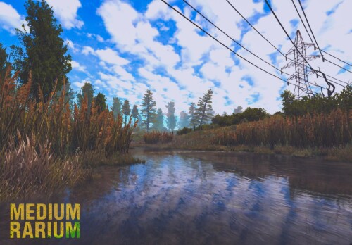 MEDIUM 5