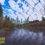 MEDIUM-5.th.jpg