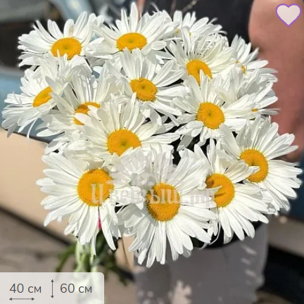 [Изображение: 20143e1d14ad4c05e.png]