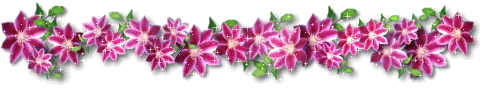 7f348076a9ff.webp
