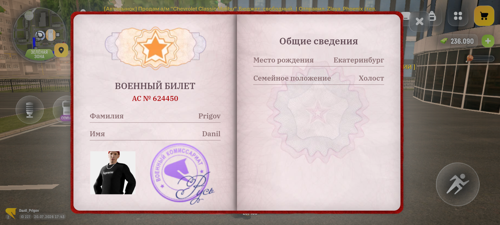 radikal.host