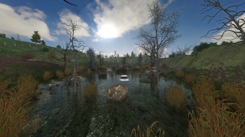 OGSR-Flora-Overhaul-1.md.jpg