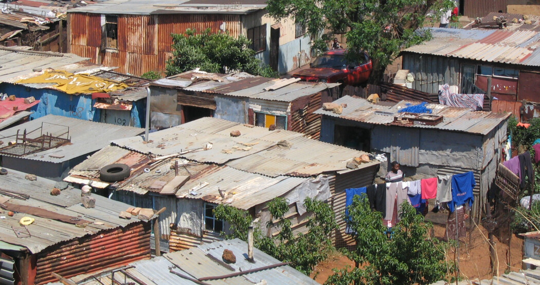 Cardboard-City-Guy-spillwords.jpg