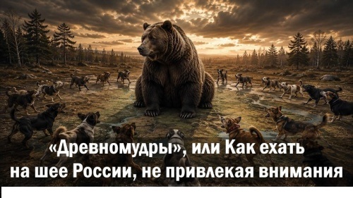 https://e.radikal.host/2026/07/24/DREVNOMUDRY.jpg