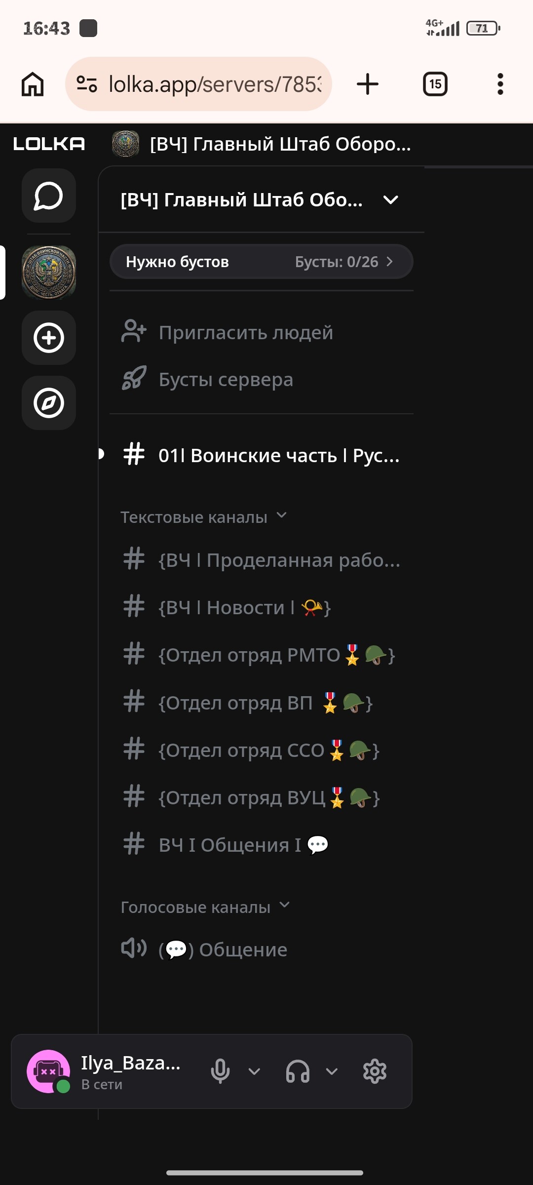 radikal.host
