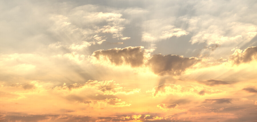 scale_24006f4625be023318c1.jpg