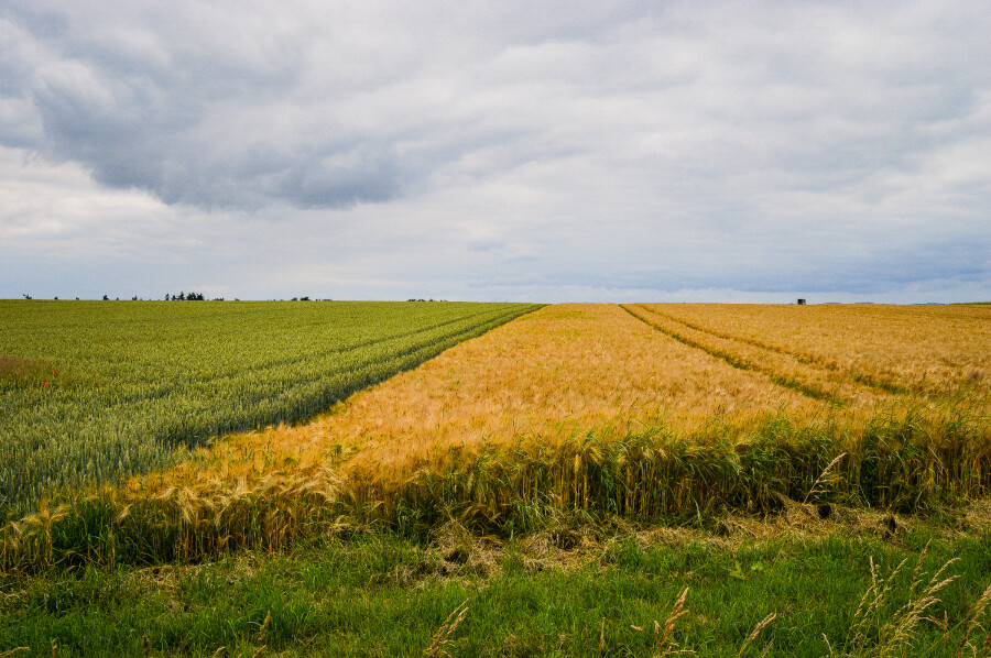 scale_2400f862c13cfb50d503.jpg