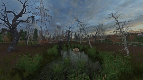 Flora Overhaul 6