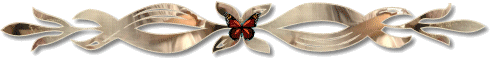 151939733.gif