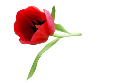 92528672_34.png