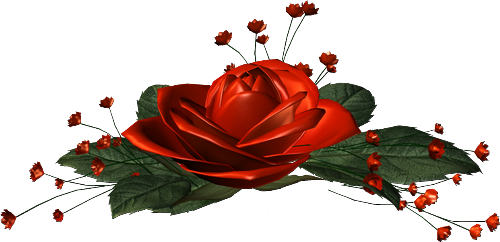 92531807_hhhn.png