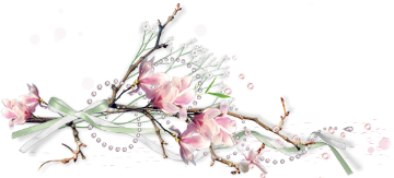 92867838_91975862_63333551_9e7b4243d430.png