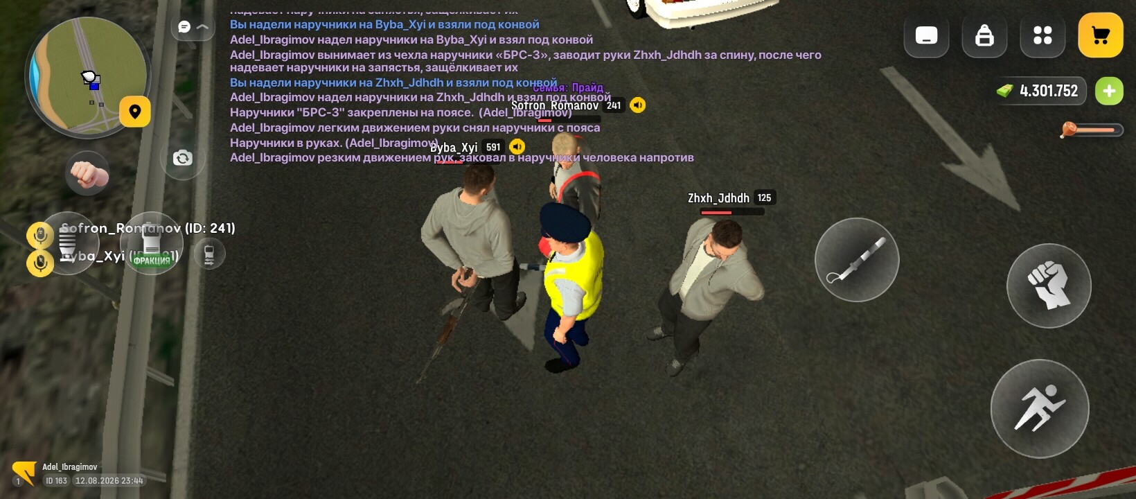 radikal.host