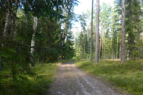 В заказнике