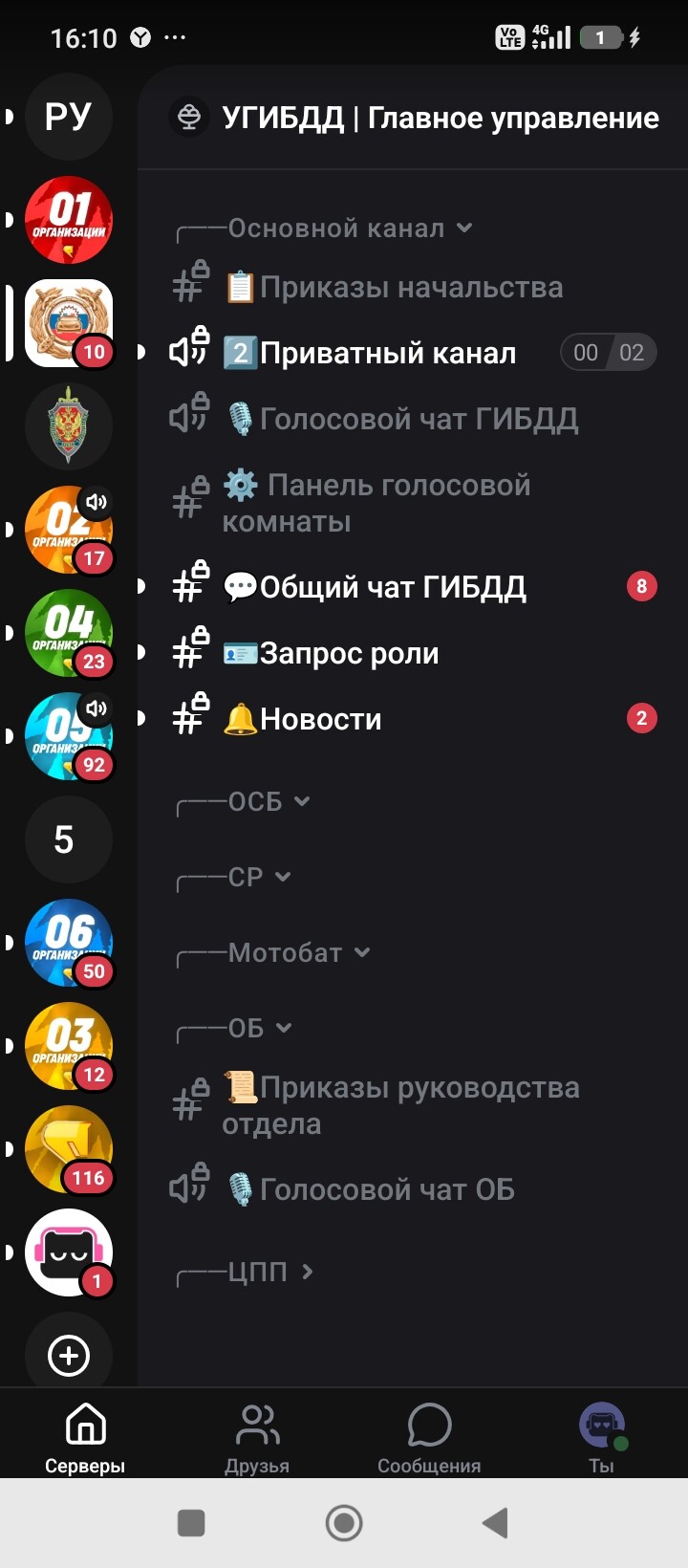 radikal.host