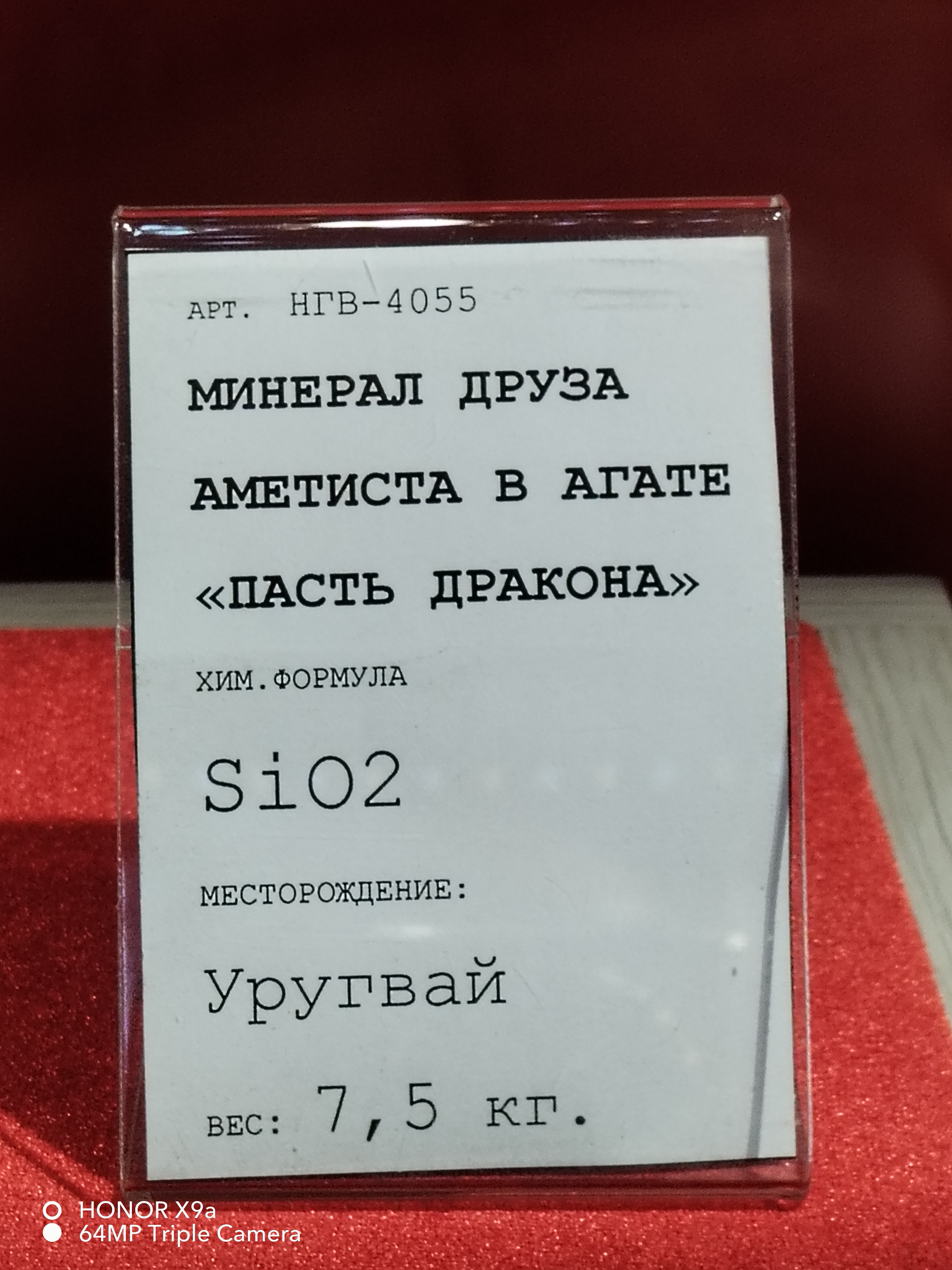 IMG_20260830_123533.jpg
