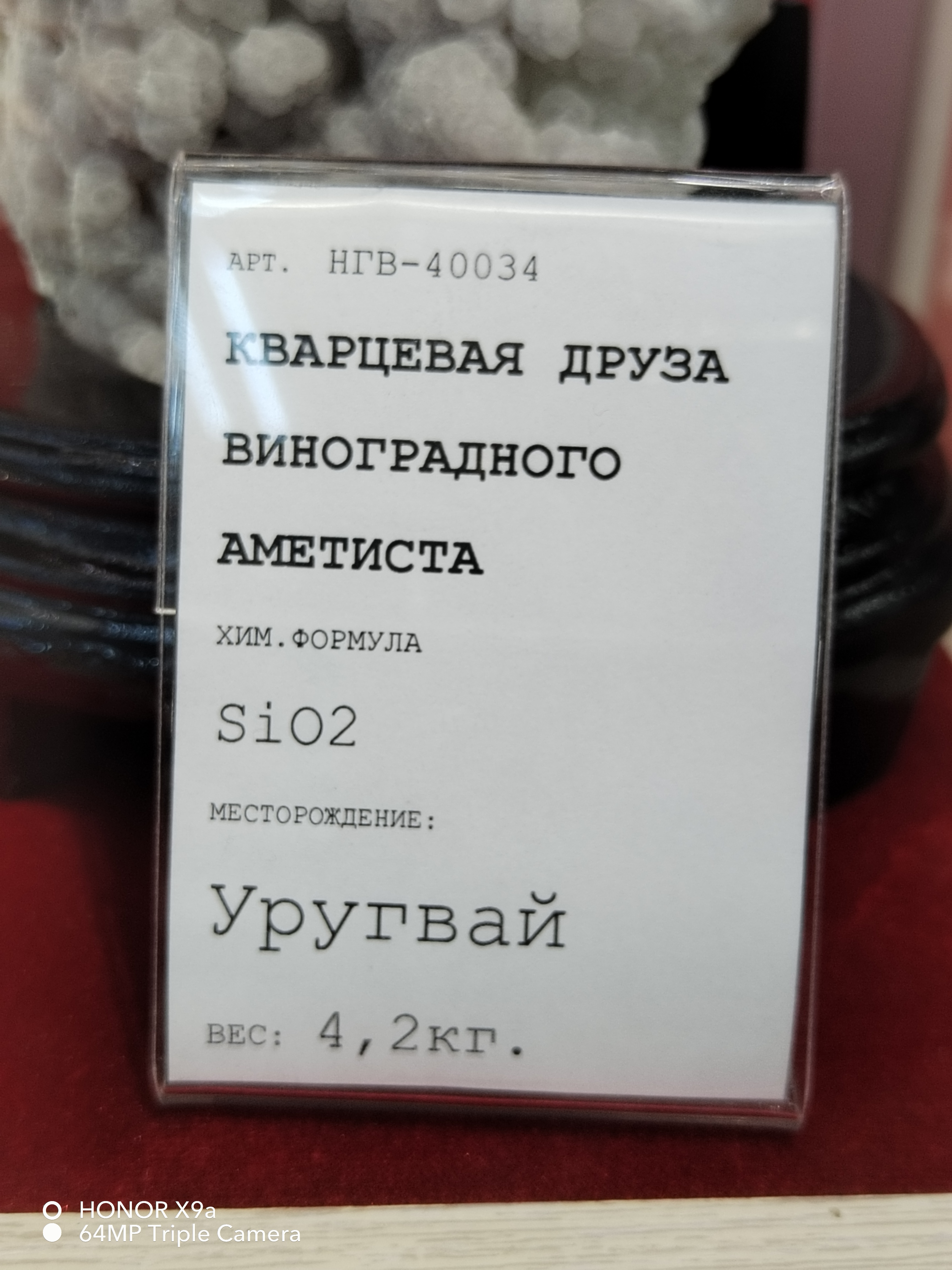 IMG_20260830_123626.jpg