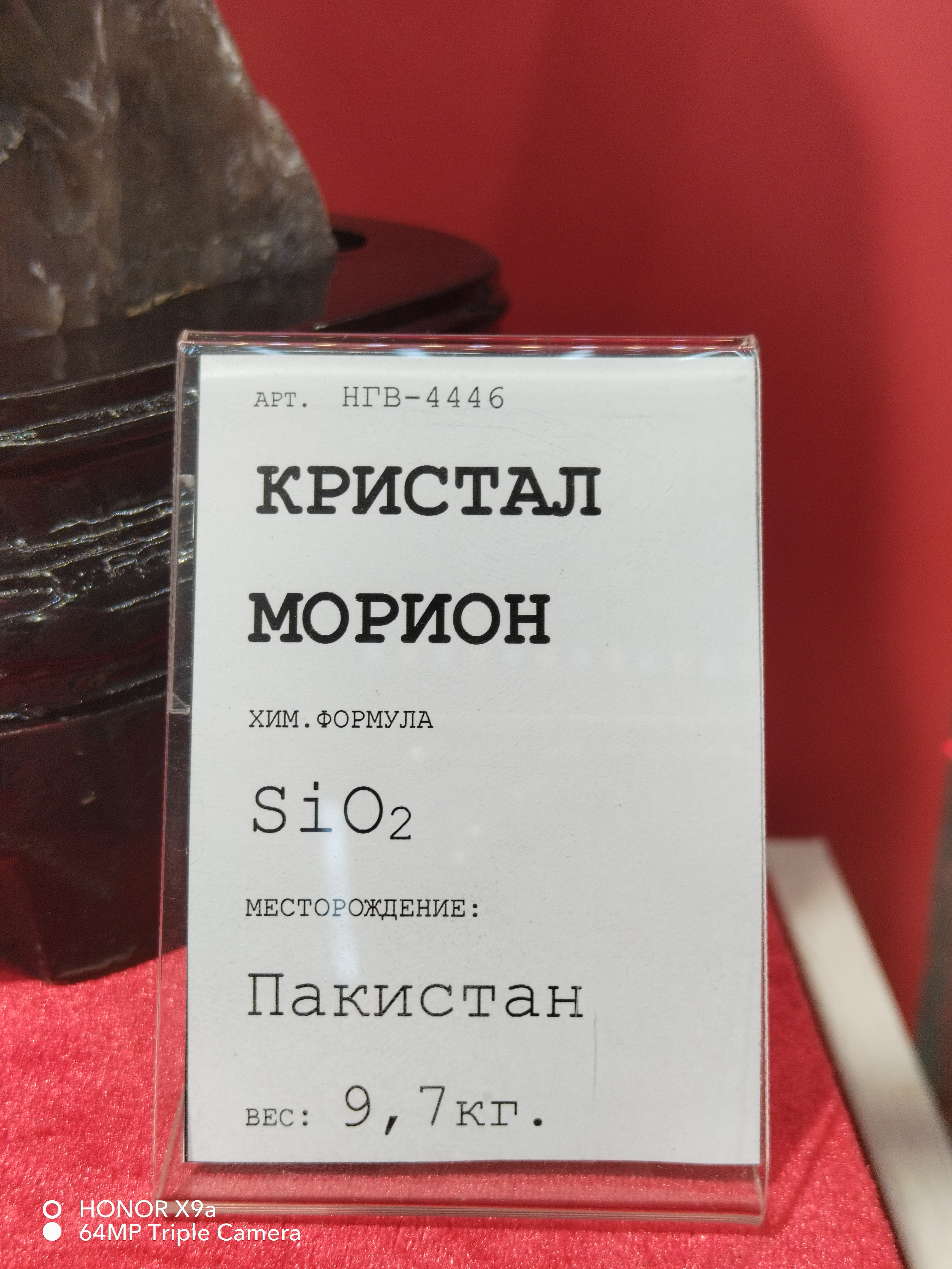 IMG_20260830_123725.jpg