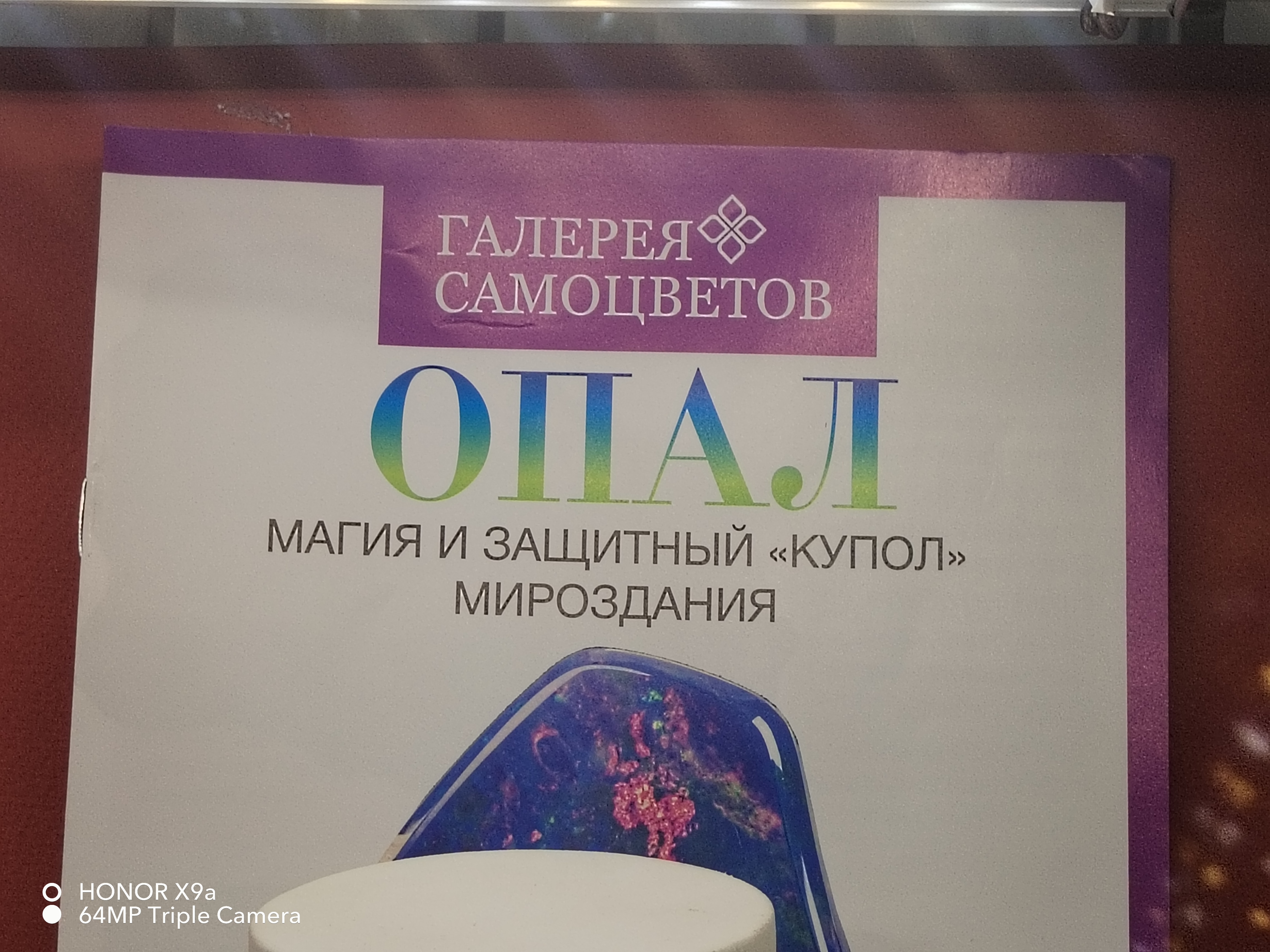 IMG_20260830_125144.jpg