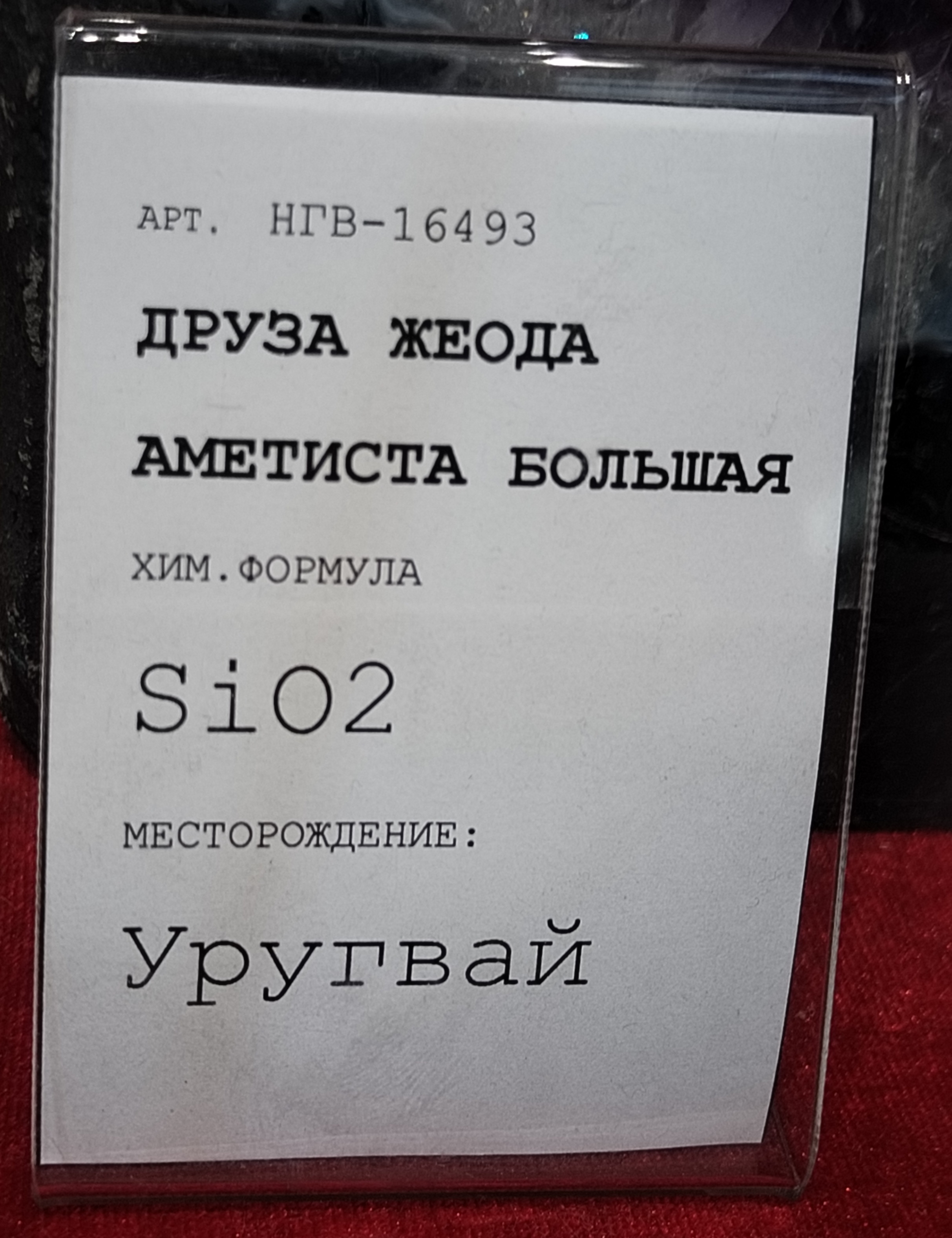 IMG_20260830_125518.jpg