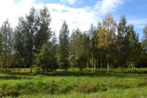 Баболовский парк